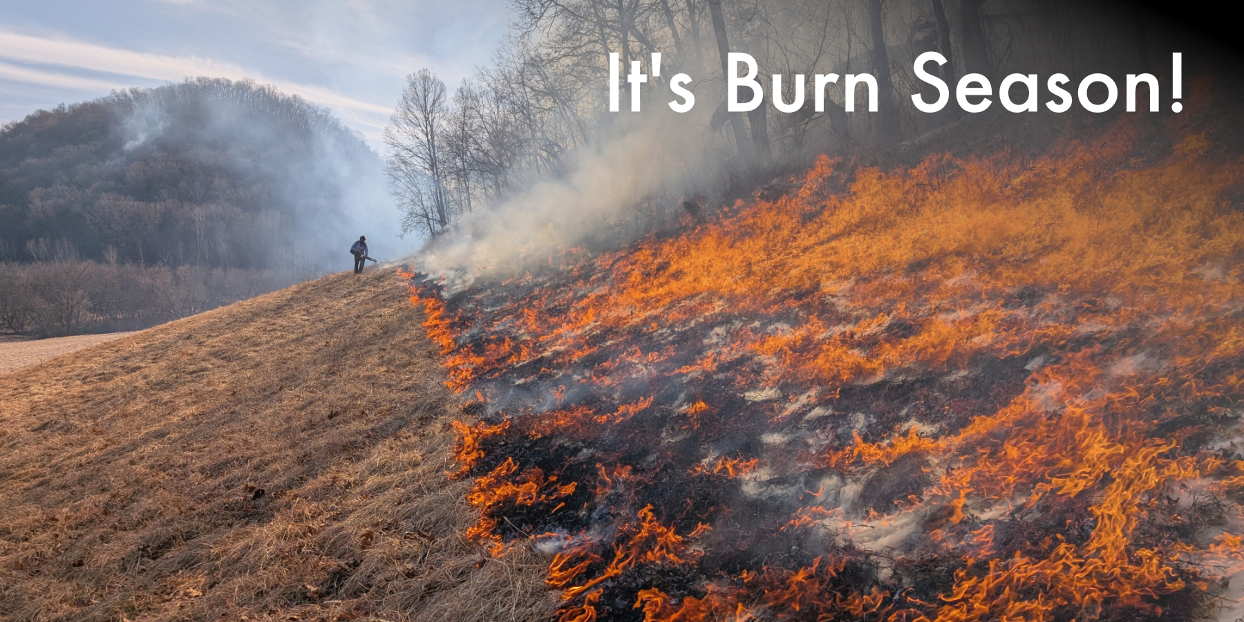 Burn Season banner